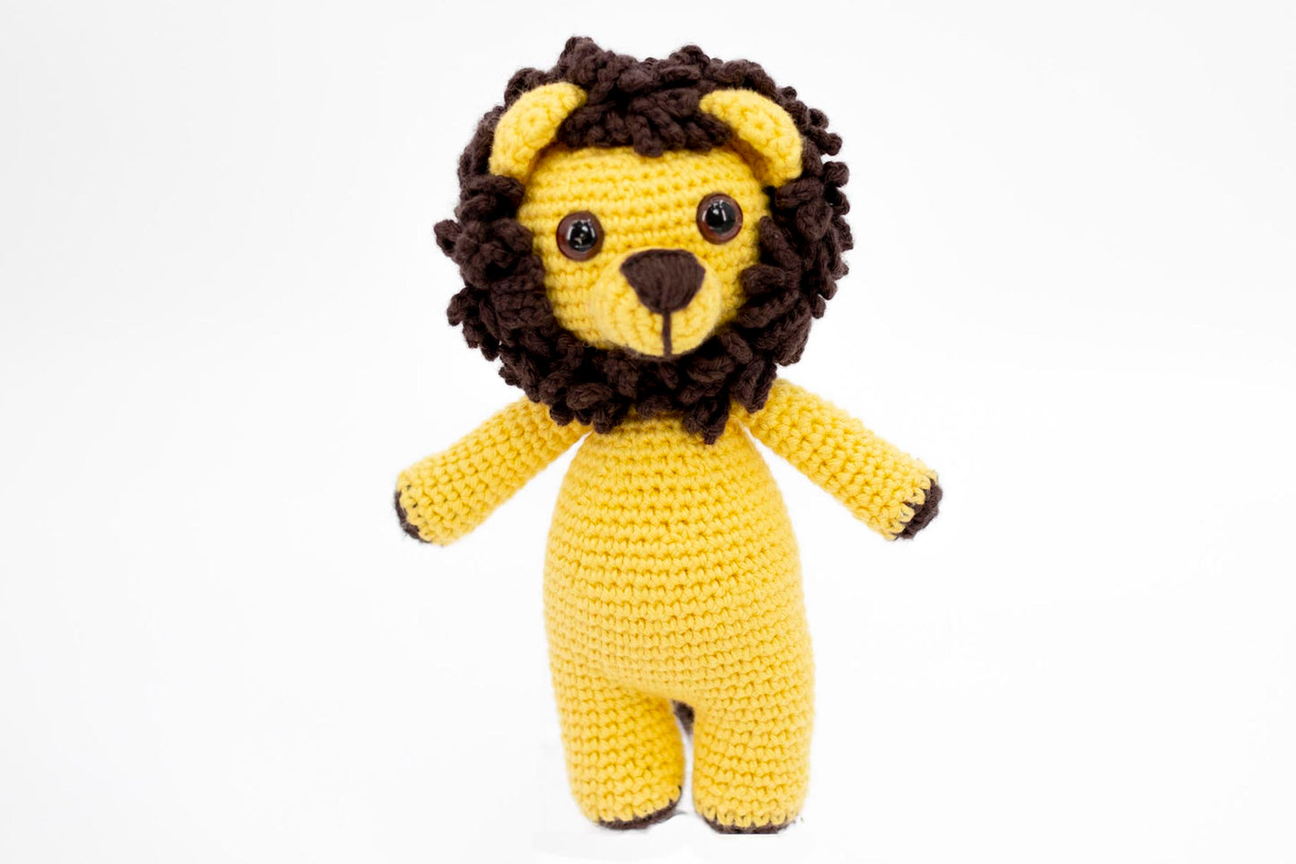 Lion Gift Set